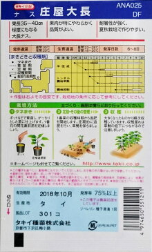 【タキイ種苗】庄屋大長ナス　60粒