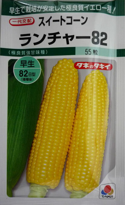 【タキイ種苗】ランチャー82　40粒のサムネイル