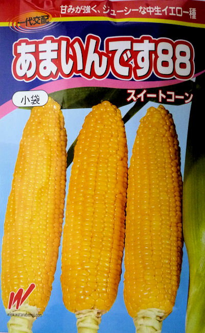 【渡辺農事】あまいんです88　40粒