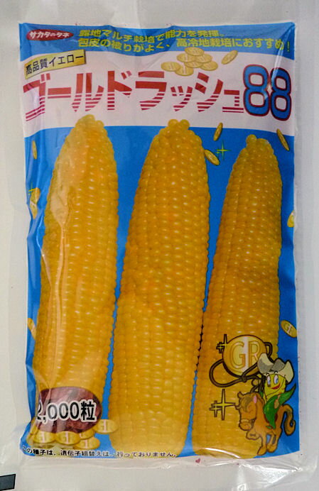 【サカタのタネ】ゴールドラッシュ88　2000粒