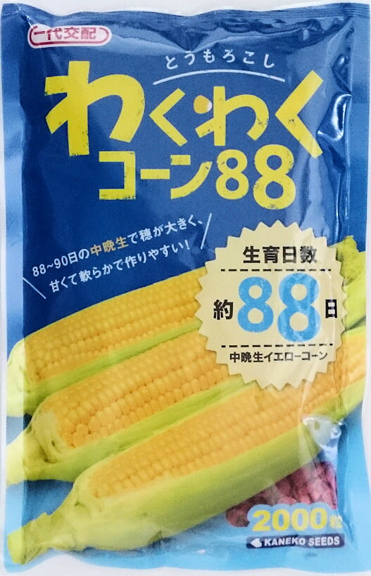 【カネコ種苗】わくわくコーン88 2000粒