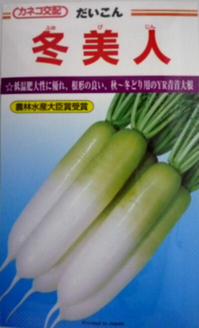 【カネコ種苗のタネ】冬美人大根　10ml
