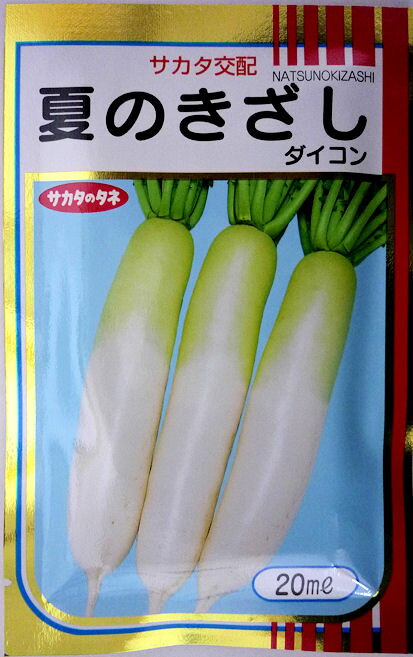 【サカタのタネ】夏のきざし大根　20ml