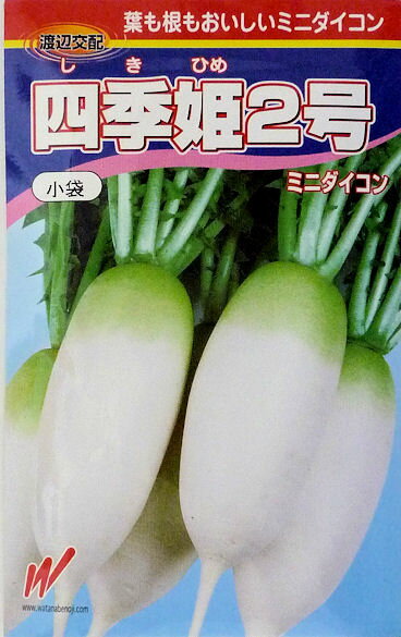 【渡辺農事】四季姫2号ダイコン　小袋