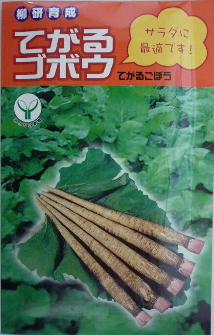 夏季蔬菜 - 【柳川採種研究会】てがるゴボウ　20ml