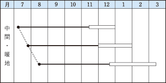 【タキイ種苗】本紅金時人参　1dl