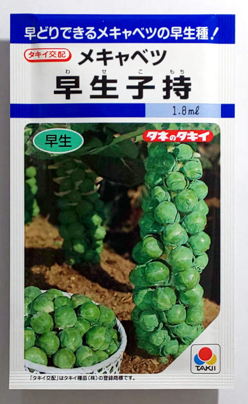【タキイ種苗】早生子持　1.8ml　