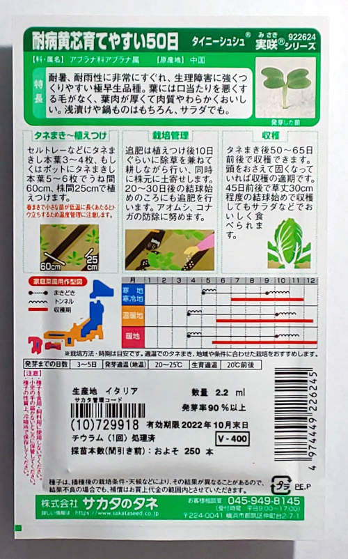 【サカタのタネ】タイニーシュシュ白菜小袋