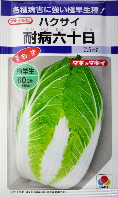 【タキイ種苗】耐病六十日白菜　2.2ml　のサムネイル