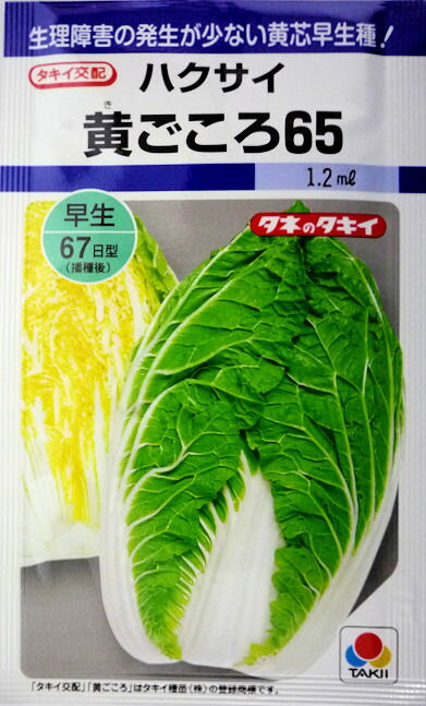 【タキイ種苗】黄ごころ65白菜 1.0ml 