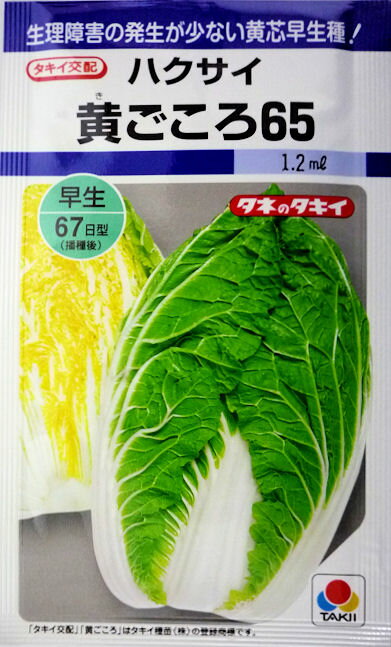 【タキイ種苗】黄ごころ65白菜　1.0ml　