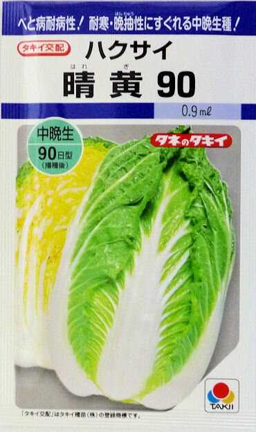 Rakuten - タキイ種苗】晴黄90白菜　0.8ml　