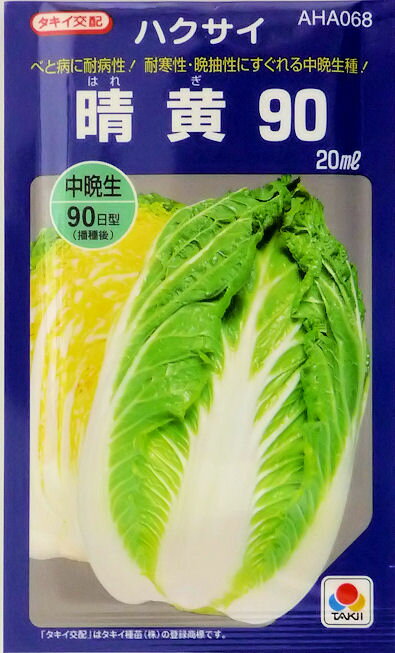 Rakuten - 【タキイ種苗】晴黄90白菜　20ml　