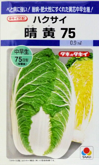 【特徴】●根こぶ病、軟腐病、ウイルス病などに強く、特にべと病耐病性にすぐれる。草勢旺盛で栽培容易な年内どり中早生種です。●石灰欠乏症（縁腐れ・芯腐れ）やゴマ症などの生理障害の発生が少なく作りやすいです。●草姿立性で株ぞろいがよく、肥大性にすぐれるます。●玉の形状は尻張り・胴張りのよい砲弾形で球頭の被りもよいです。球内色は濃黄色で、葉質がやわらかく品質良好。 【栽培のポイント】●無理な早まきは避けるむやみな早まきは病害発生が、遅まきでは球頭のしまりや肥大不足が心配されるので、適期播種を心掛けてください。●元肥を控えめに本種は生育が旺盛なため、特に元肥の過剰施肥は外葉ができすぎて、生育後半に病害が発生したり、玉じまりが劣ることがあります。元肥は控えめとし、外葉の過剰生育を抑えてください。 結球初期には追肥をし、生育後半まで肥効を保つことが重要。生育後半の肥料切れは、肥大不足の原因となります。●生理障害対策生育初期でのチッソ過剰吸収や収穫遅れは、ゴマ症や縁腐れ・芯腐れなどが懸念されます。適期収穫を心掛け、元肥を減らして追肥型の栽培をすることで、初期のチッソ過剰吸収を回避してください。●病害対策高温多雨や高温干ばつなどの不良条件が重なると、細菌病や白さび病の発生率が高まります。生育初期から定期的な株元への薬剤散布で病害の発生を予防することが大切です。 根こぶ病耐病性は、「黄ごころ」シリーズと同等で、発生地では通常の防除が必要です。 【まきどき】●作型図を目安に、地域や条件に合わせた作型で栽培してください。 【商品について】 当店は実店舗と在庫を共有しているため、在庫更新のタイミングにより、在庫切れの場合もあります。 このため、商品の入荷待ちや取り寄せによりお時間をいただく場合があります。 また、メーカー品切れの場合は、やむをえずキャンセルとさせていただく可能性もあります。 恐れ入りますが、予めご了承のほど、よろしくお願いいたします。 【送料について】 ◆種子の小袋は、基本的に第4種郵便にて発送いたします。なお、第4種郵便は重さにより送料が変わり、 その重さによっては別便のほうが安価になる場合もあります。特別なご指定がないときは、当店の 判断で最適な配送方法にて発送いたします。 特にご指定の配送方法がない場合、配送方法には第4種郵便をご指定ください。 ◆1配送先につき、合計金額5000円以上となり、かつ第4種郵便（100g以内）にて発送可能の場合は 送料無料といたします。 ◆発送商品の重さ（1kg以上）、形状、数量により、第4種郵便での発送ができない場合、 宅配便などの別便での発送となります。 また、お急ぎのお客様には、宅急便にて発送いたしますので、 その旨メールにてお申し付けください。 ただし、この場合、宅急便送料がかかりますので、ご了承ください。　