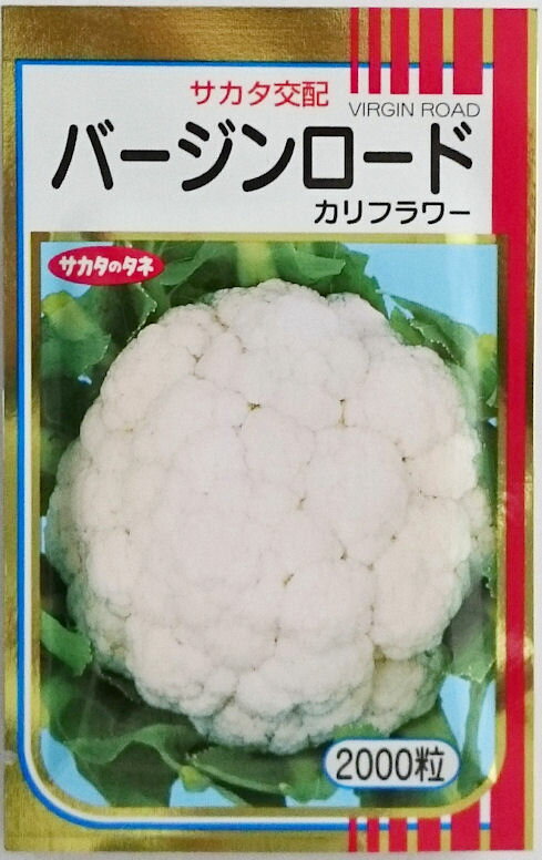 【サカタのタネ】バージンロード花椰菜　2000粒