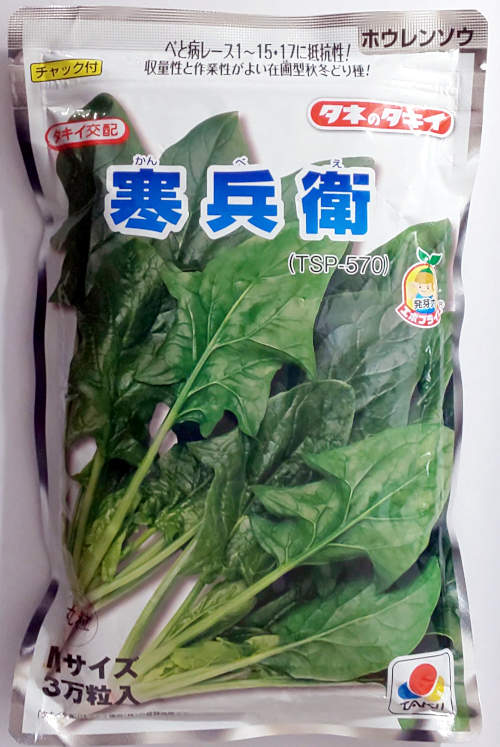 【タキイ種苗】寒兵衛ほうれん草 M 30000粒