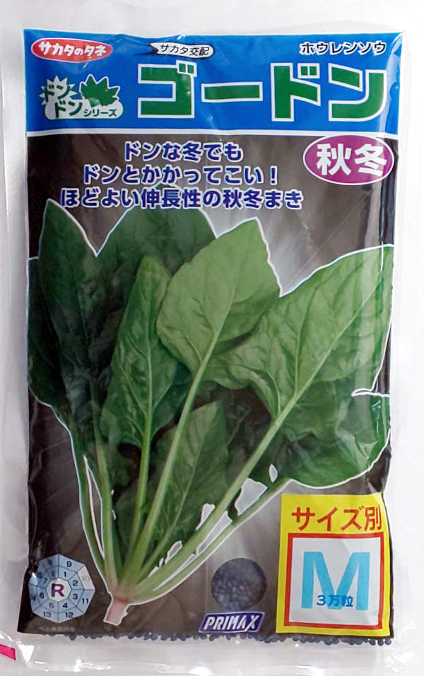 【サカタのタネ】ゴードンほうれん草　M　30000粒