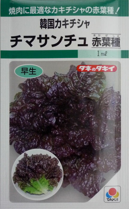 【タキイ種苗】チマサンチュ赤葉種　0.9ml
