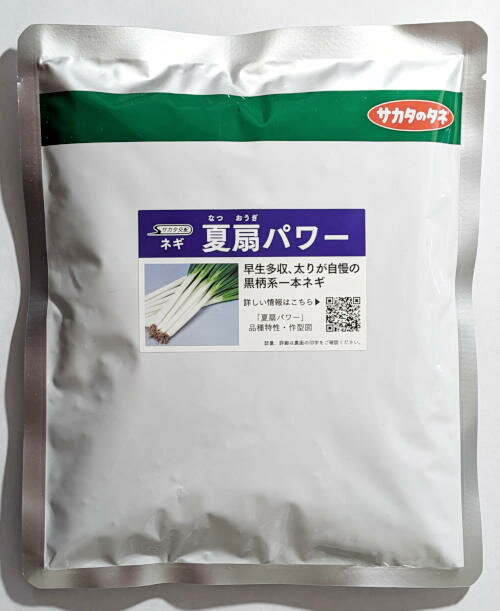 【サカタのタネ】夏扇パワー一本ネギ コート6000粒