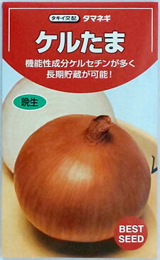 【タキイ種苗】ケルたま玉葱　20ml