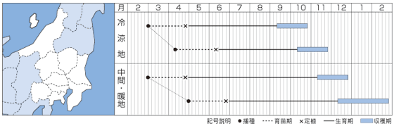 ڥġۥۥ磻ȥɥͥ5000γ