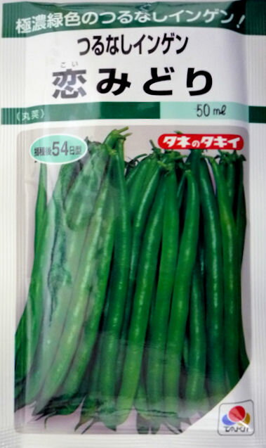 【タキイ種苗】恋みどり菜豆　45ml