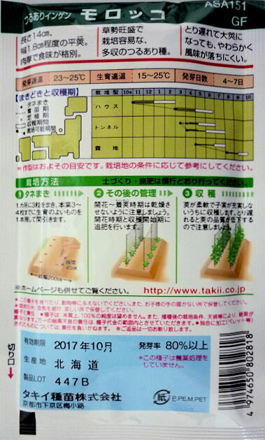 【タキイ種苗】モロッコ菜豆（つるあり）45ml