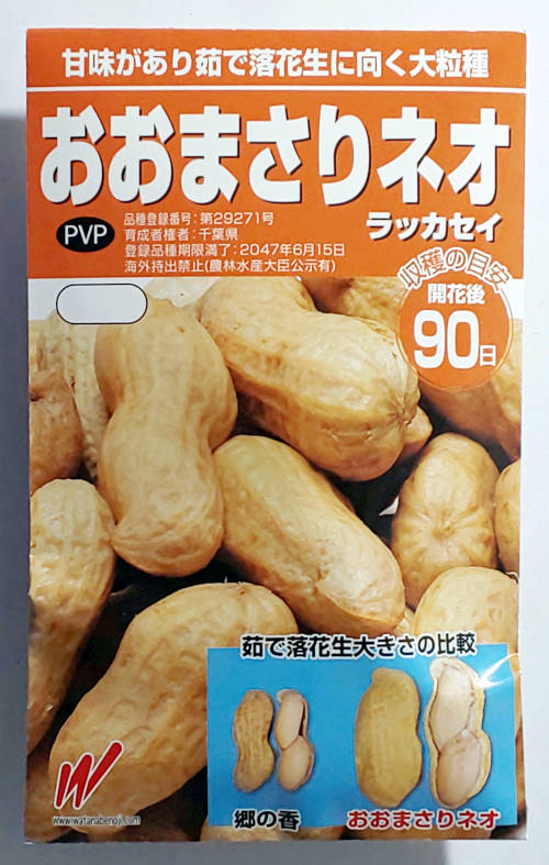 コート種子 晩緑95 L5(5000粒) ブロッコリー【野崎採種場 種 たね タネ 】【通常5倍 5のつく日はポイント10倍】