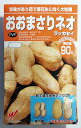 【渡辺農事】おおまさりネオ落花生 36粒