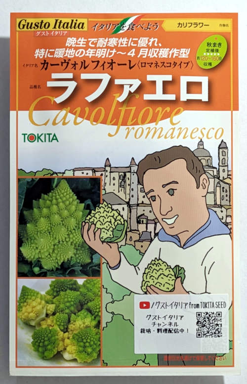 【トキタ種苗のタネ】ラファエロ　50粒のサムネイル