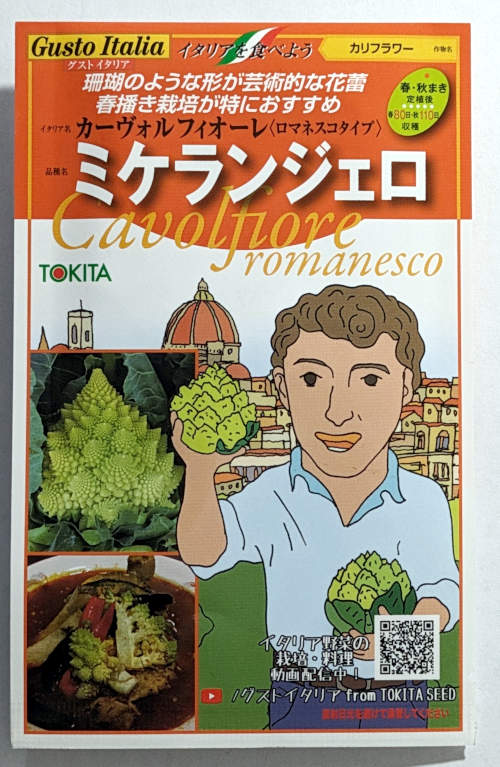 【トキタ種苗のタネ】ミケランジェロ 小袋