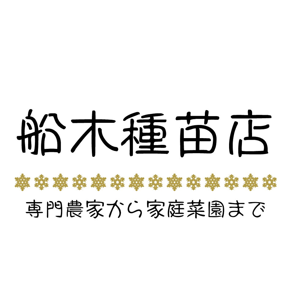 楽天市場 | 船木種苗店 - 専門農家から家庭菜園まで野菜のタネの専門店