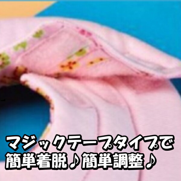 ���ꥶ�٥����顼 �� ǭ ���ե� �� ���� ��æ��ñ �ڥå� �إ륹���� ������ǽ �Ӥ�ʤ� �İ��� ���Ĥ��ʤ� ���餫