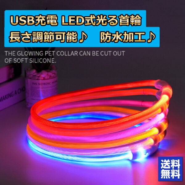 光る首輪 犬用 USB 防水 充電式 LED ペット用!夜の犬の散歩を安全に!大型犬から小型犬もOK!