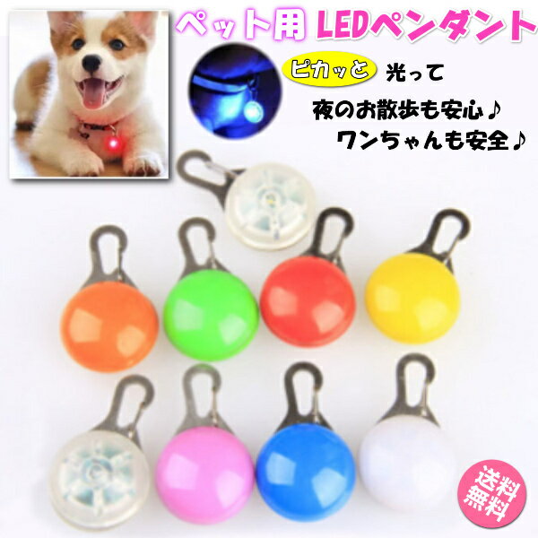 犬 散歩 ライト 首輪 LED 光る首輪 犬用 レインボー 猫 防水 小型犬 ひかる首輪 大型犬 中型犬 電池式 キーホルダー 夜間
