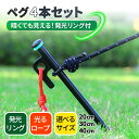 ペグ スチールペグ セット テントペグ 杭 タープ ハンマー 収納 キャンプ ペグ入れ ペグハンマー キャンプ用品 発光 テント ロープ
