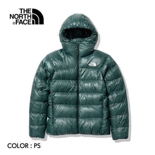 【THE NORTH FACE ノースフェイス】Alpine Nuptse Hoodie アルパインヌプシフーディ（ユニセックス）PS..