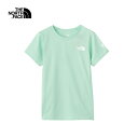 【THE NORTH FACE ノースフェイス】ショートスリーブドライドットライトクルー(レディース) MT ミューテッドパイン Tシャツ 半袖 ランニングカットソー 汗冷え軽減 ドライ感 抗菌防臭効果 軽量 トレラン トレッキング 山行 アウトドア NTW12373 国内正規品(4)