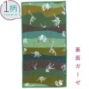 ハンカチ 1枚 綿100% ガーゼ生地 ハーフサイズ10.5×20cm 恐竜(ボーン)/グリーン