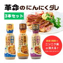 「10%OFFクーポン配布」【公式】フンドーダイ 革命のにんにくダレ3本セット