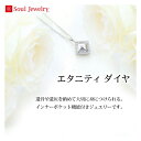 遺骨ペンダント Soul Jewelry エタニティ ダイヤ シルバー925 骨壷 遺骨 ペンダント ネックレス アクセサリー 遺灰 分骨 インナーポケット機能...