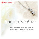 遺骨ペンダント Soul Jewelry Pour toi （プルトワ） ラウンドデイジー プレシオサ キュービック・ジルコニア シルバー925 骨壷 遺骨 ペンダント ネックレス アクセサリー 遺灰 分骨 インナーポケット機能付 おしゃれ かわいい 供養 感動葬儀。FUNE フューネ