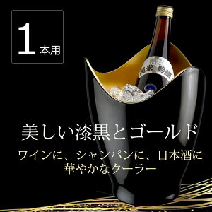 おしゃれなデザインのワインクーラーのおすすめランキング わたしと 暮らし