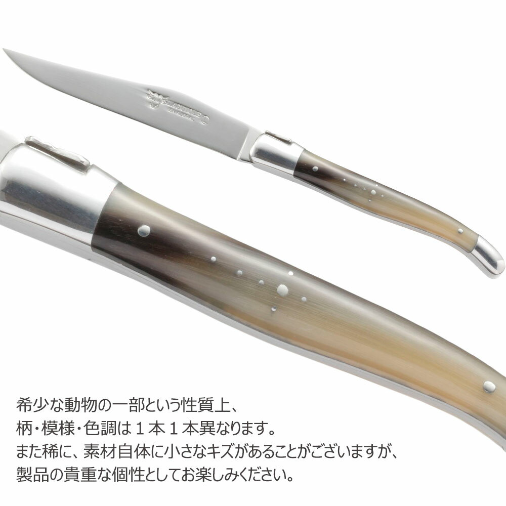 カトラリー 単品 セット 【ホーン】 LAGU...の紹介画像2