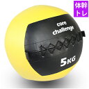 ダンノ（DANNO）　D5288　ウエルネス　トレーニング用品　Heavy Slam MEDICINE BALL 15kg　19SS