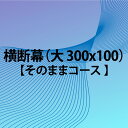 横断幕 【 そのままコース 300 x 100 大 】 スポーツ 応援 グッズ サッカー バレーボール バスケ 野球 送料無料 その1