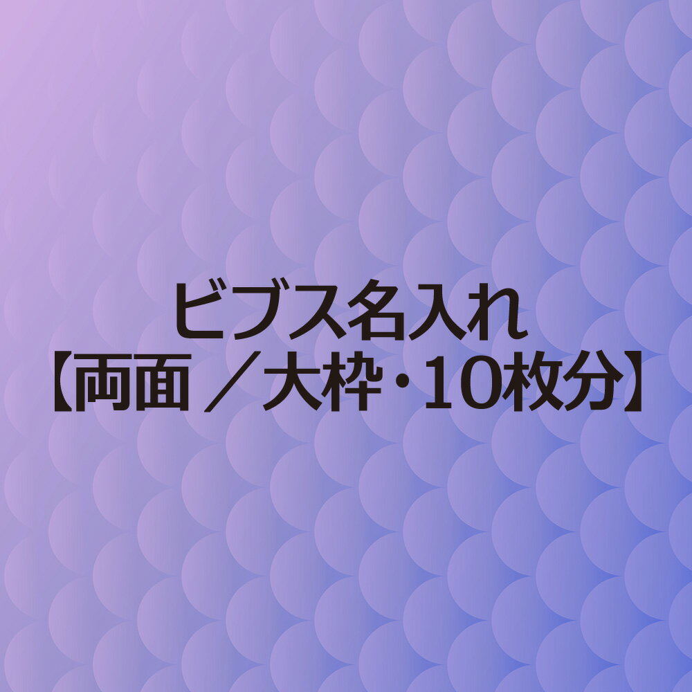 ビブス 名入れ プリント【 両面 大枠 10枚分 】 高品質 画像ロゴ対応 スポーツチーム名 企業名 団体名 スローガン