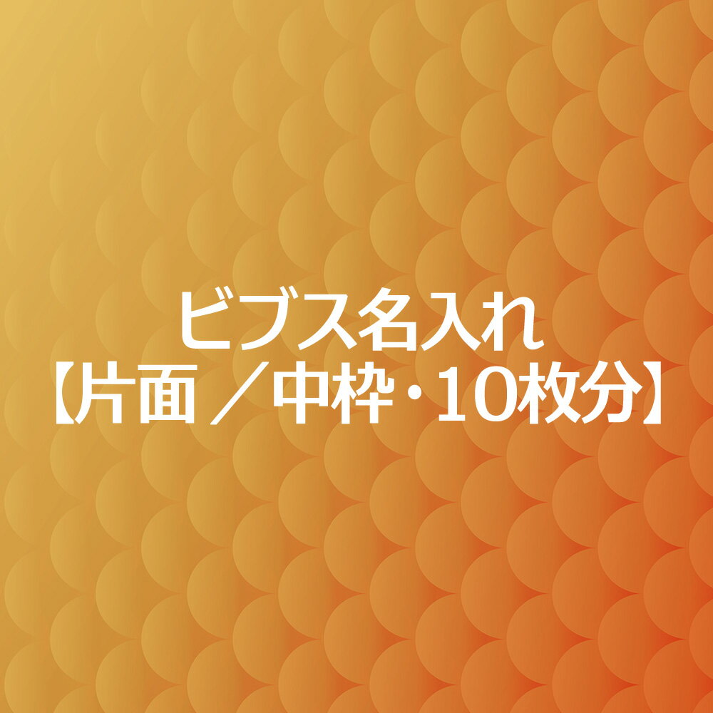 ビブス 名入れ プリント 【 片面 中枠 10枚分 】 高品質 画像 ロゴ 対応 スポーツチーム名 企業名 団体名 スローガン