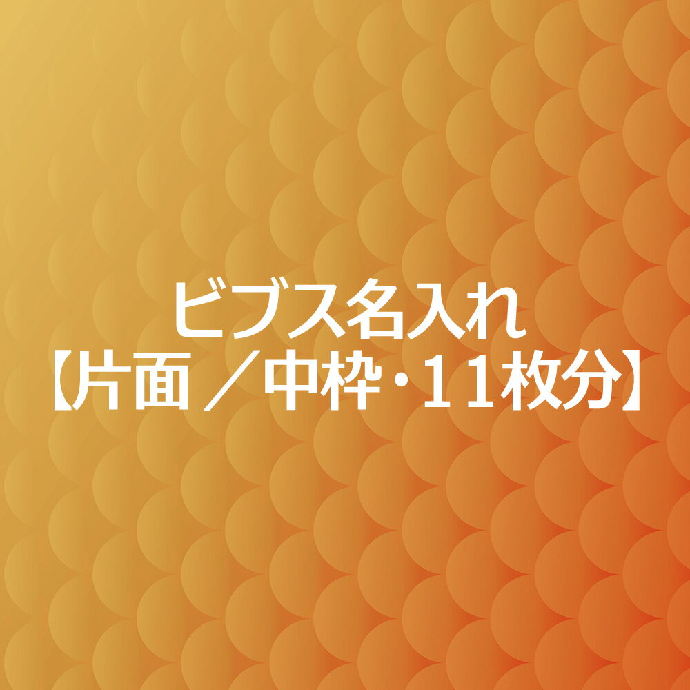 ビブス 名入れ プリント【 片面 中枠 11枚分】 高品質 画像 ロゴ スポーツ チーム名 企業名 団体名 スローガン