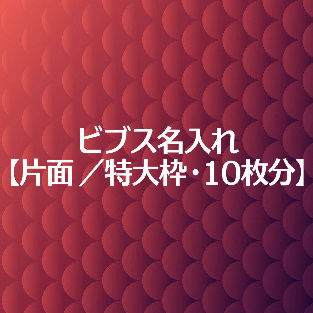 ビブス 名入れ プリント 【 片面 特大枠 10枚分 】 高品質 画像 ロゴ対応 スポーツ チーム名 企業名 団体名 スローガン